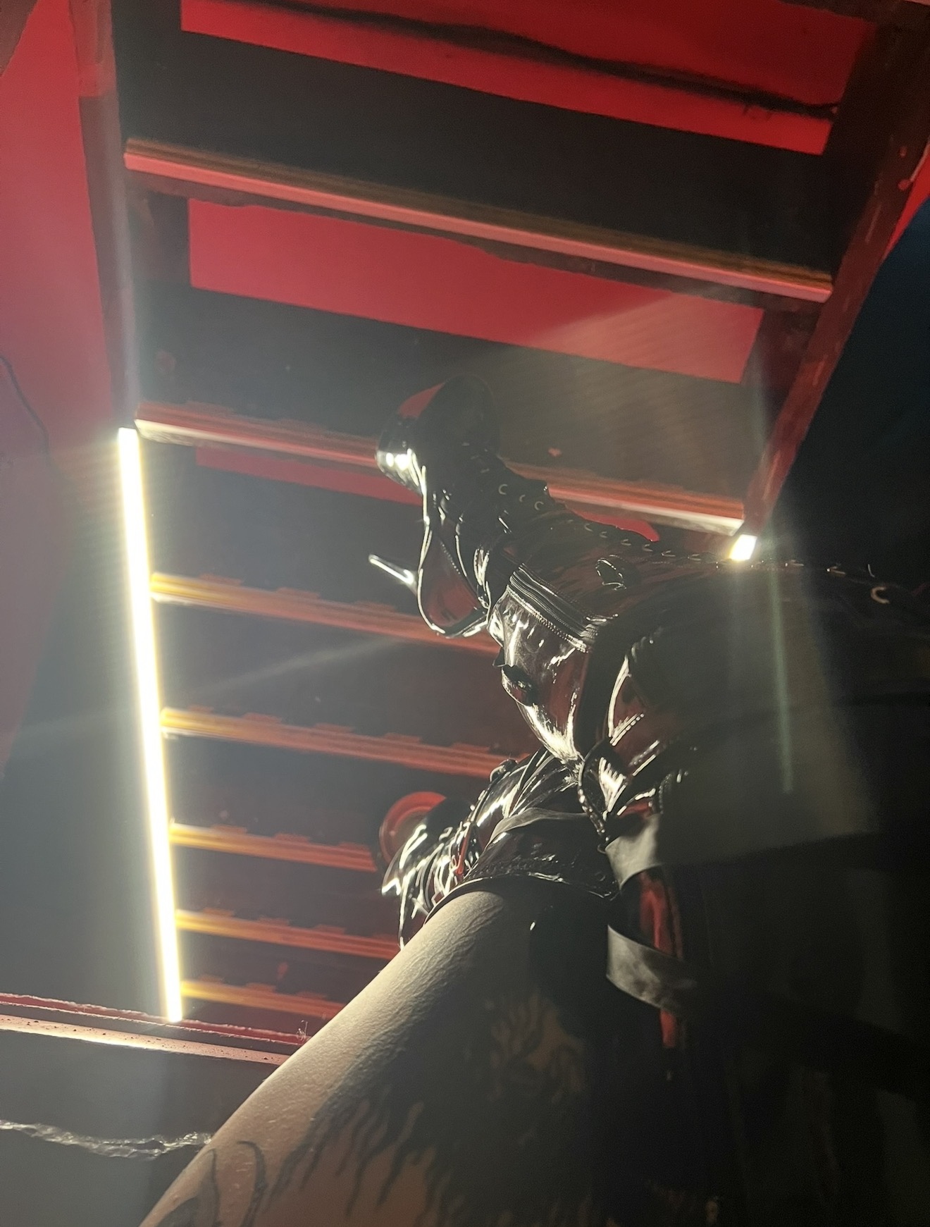 Mistress Harley Roses