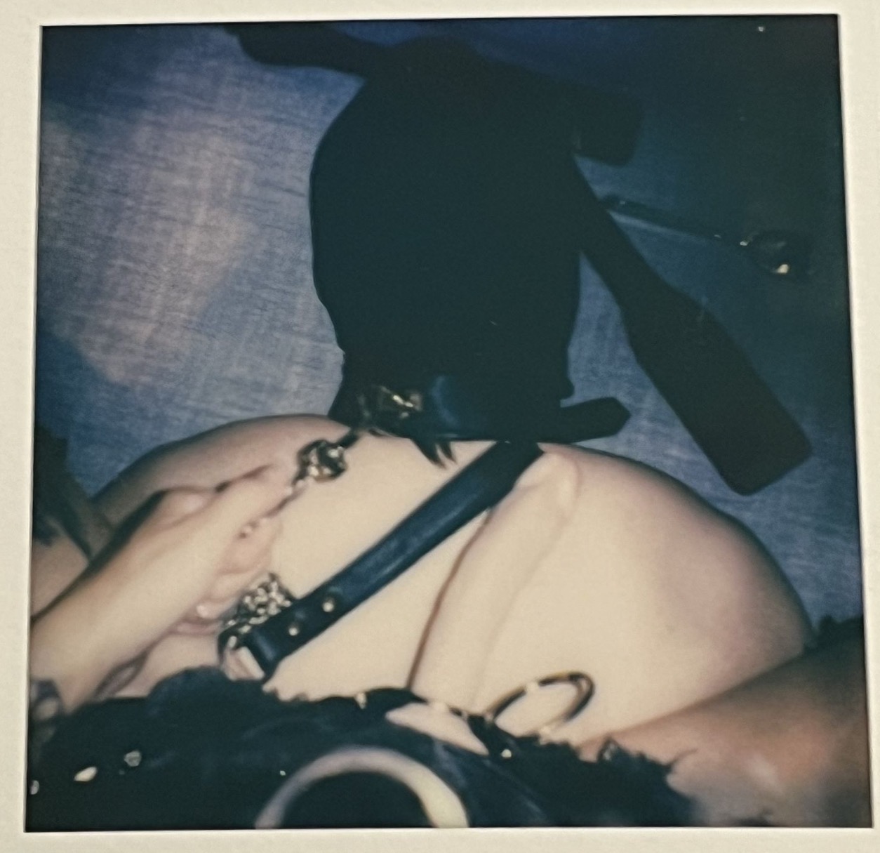 Mistress Harley Roses